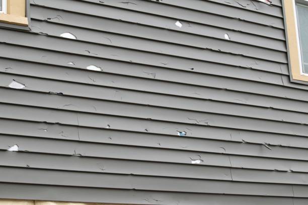 Eureka, IL Siding Services Company