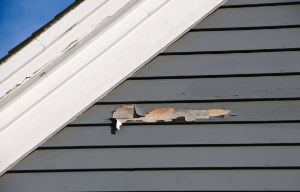 How To Choose The Right Materials for Your Siding Installation in 'Eureka, IL